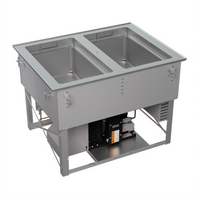 Vollrath Hot/Cold/Frozen 2-Well Drop-In Food Well with Auto-Drain and Flat Flange, 120V