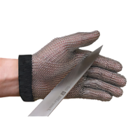 Stainless Steel Mesh Cut-Resistant Glove, Large