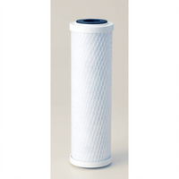 Everpure CG53-10 10-Inch Submicron Carbon Block Water Filter Cartridge