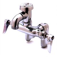 T&S Brass B-0670-POL Adjustable-Center Service Sink / Mop Sink Faucet with Vacuum Breaker Nozzle