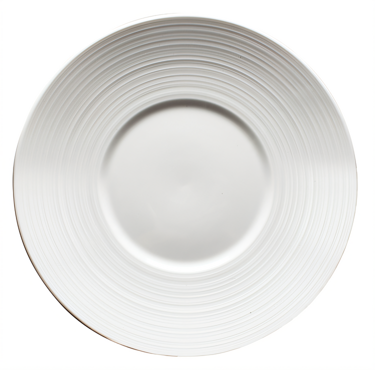 Product image #1 for Ardesia Zendo 10 Inch Round Wide Rim Embossed Porcelain Plate, Bright White, Case of 24