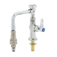 T&S Brass B-0205-CR-VB-QD Commercial Faucets & Plumbing