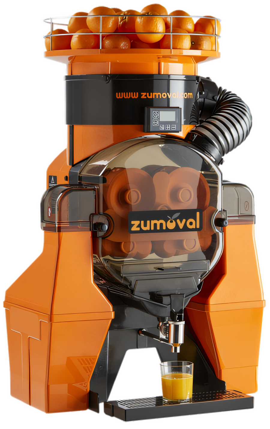 Product image #1 for Zumoval Trento FastTop Manual Feed Countertop Citrus Juicer with Self Tap and Automatic Shower, 45 Oranges/Minute, 115V