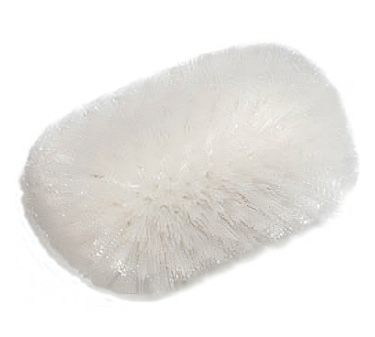 Product image #1 for Sparta Spectrum Jumbo Tank & Kettle Brush, 6 x 10-1/2 Inch, Flare Head, White Nylon Bristles