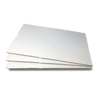 Henny Penny Prime Filter HD Fryer Filter Pads for Evolution Elite and F5, Case of 30
