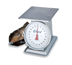 Thumbnail image #1 for Edlund HD-200 Receiving Scale