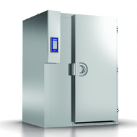 Irinox MultiFresh MF 250.2 Roll-In Blast Chiller and Shock Freezer with Remote Condensing Unit