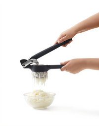 Taylor Precision 5307258 Chef'N Garlic Press Case of 4