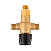 equip Brass Thermostatic Mixing Valve with 1/2 Inch Male NPSM Fittings