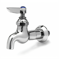 T&S Brass B-0715 Heavy-Duty Single Sink Faucet with Lever Handle, 1/2